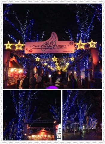 20151130 181951 REBECCA“Yesterday, Today, Maybe Tomorrow”のさいたまスーパーアリーナ追加公演に行きました！