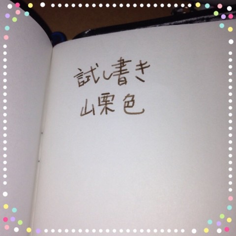 IMG 6898 480x480 とりあえずリフィル(A6サイズ)だけ作成してみました