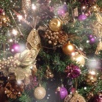 メリー(・∀・)