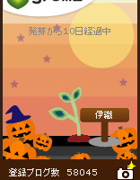 グリムス(gremz)４本目 10日