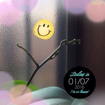 20160107 235214 今日の蘭