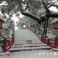 20160125dazaifutenmangu 027 200x200 雪の太宰府天満宮