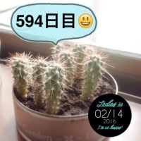 マルさぼちゃん594日目