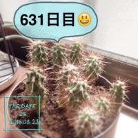 マルさぼちゃん631日目