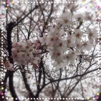 まだまだだねぇ