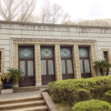 花見いろいろ 20160412 143631 花見いろいろ