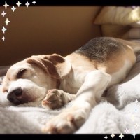 なんたることか∑(ΦдΦ||)