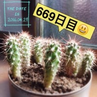 マルさぼちゃん669日目