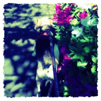 特にゴールデンでもない日々(笑)