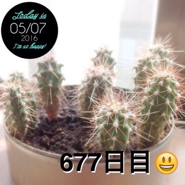 マルさぼちゃん677日目 20160507 131852 マルさぼちゃん677日目