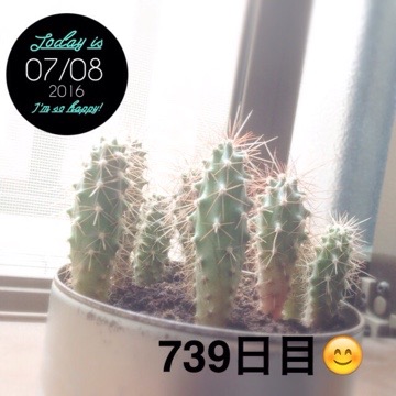 マルさぼちゃん739日目 20160708 120235 マルさぼちゃん739日目