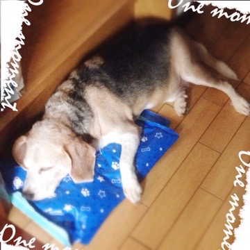 20160712 181038 金曜日の武蔵さん