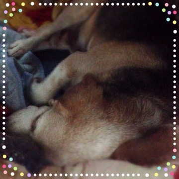 20160717 140201 今日の武蔵