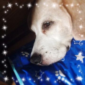 20160801 001649 日付かわったので『昨日の』武蔵