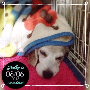 20160806 213506 今日の武蔵