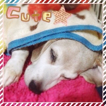 20160806 213542 今日の武蔵