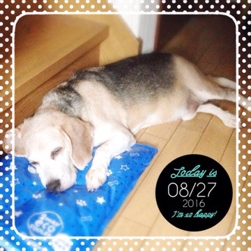 20160827 200846 今日の武蔵