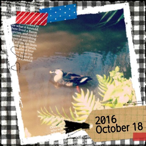 2016 10 18 12.39.51 480x480 なんかいい香りがすると思ったら