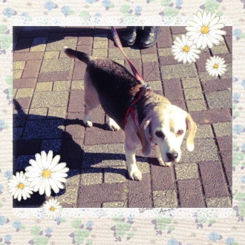 IMG 8715 480x480 昨日の武蔵さん