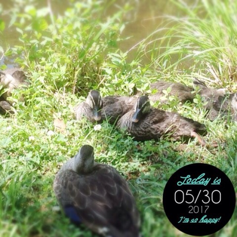 image4 480x480 だいぶ大きくなっています