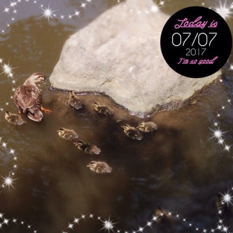 image4 480x480 鴨3チーム目！