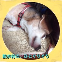 image 200x200 武蔵誕生日