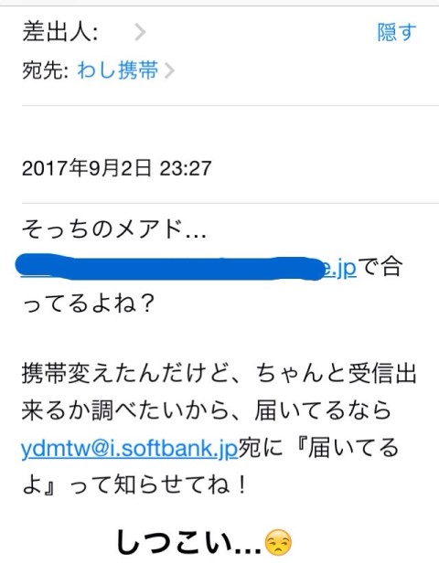 image1 480x640 気持ち悪い迷惑メールが来た