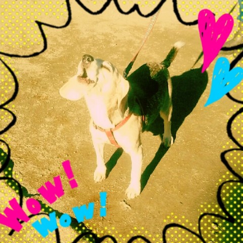 2018 01 04 18.06.10 480x480 あけました