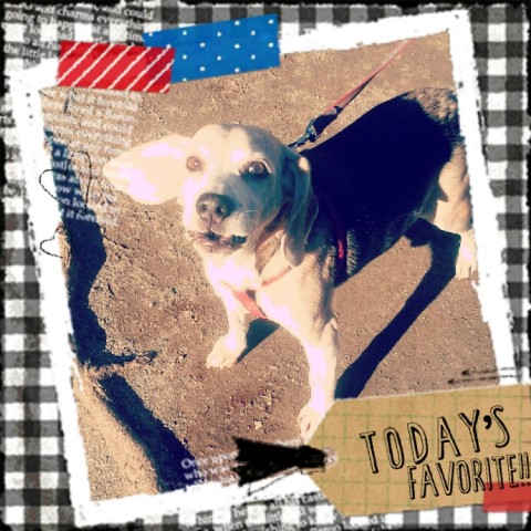 2018 01 04 18.06.41 480x480 あけました