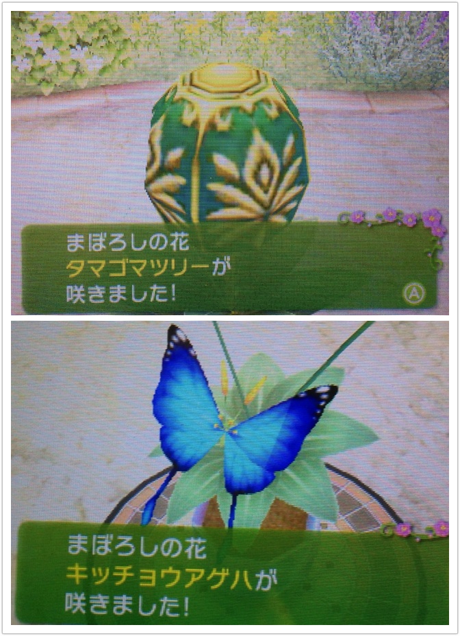 すれちがいガーデン まぼろしの花