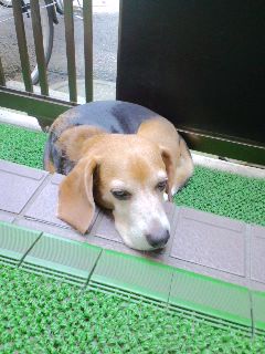 ファイル 134-1.jpg