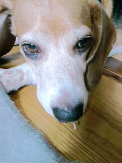 ファイル 144-1.jpg