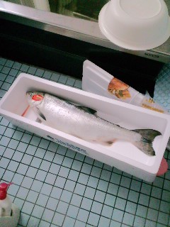 ファイル 172-1.jpg