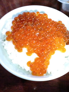 ファイル 175-1.jpg