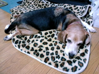 ファイル 191-1.jpg