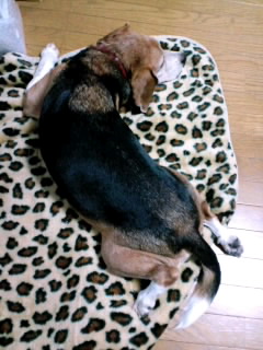 ファイル 192-1.jpg