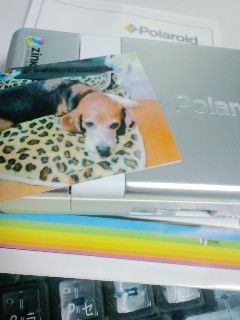 やっぱり最初に試すのは武蔵の写真