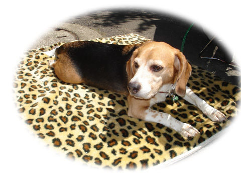 武蔵の関係ない写真w