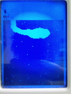 ファイル 315-1.jpg