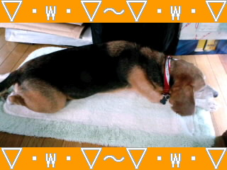 ファイル 352-1.jpg