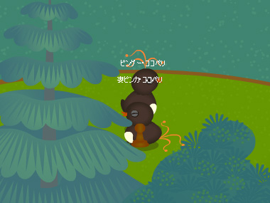 トリネシア2日目