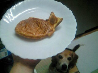 たいやきに見えるけど…