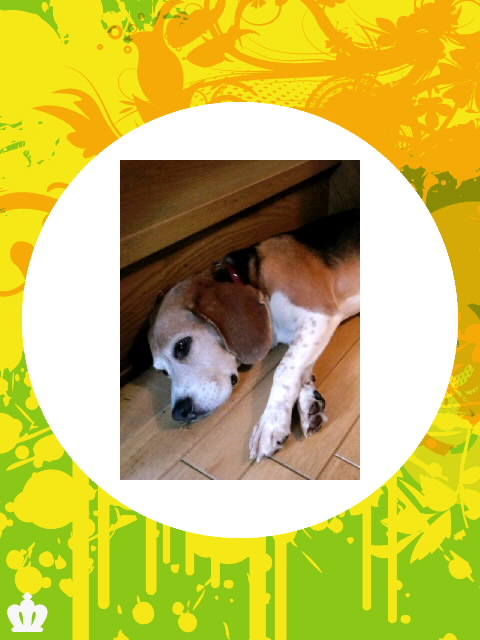 ファイル 408-1.jpg