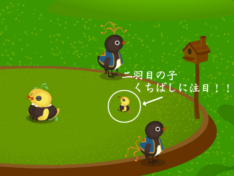 トリネシア60日目★トリソボロさんち二羽目