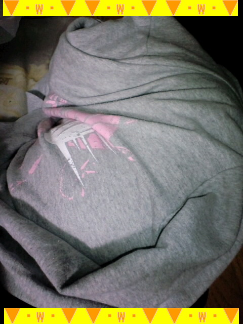 中に武蔵が入ってるのがよくわからないけど、一応撮ってみた