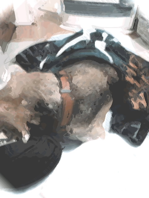 ファイル 494-1.jpg