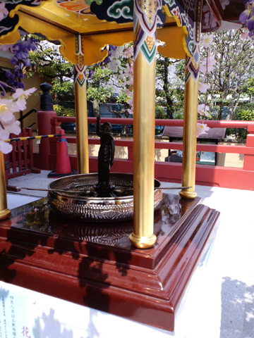 天上天下唯我独尊