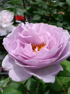 ファイル 669-1.jpg