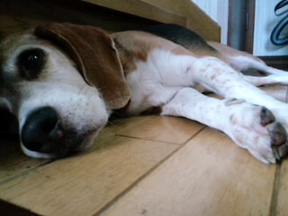 ファイル 700-1.jpg