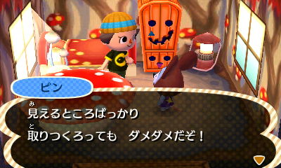 いおりのとび森日記 ピンが遊びに来た